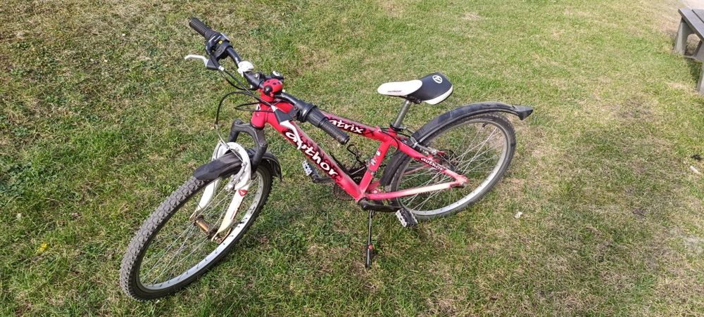 Rower dziecięcy 24 cale