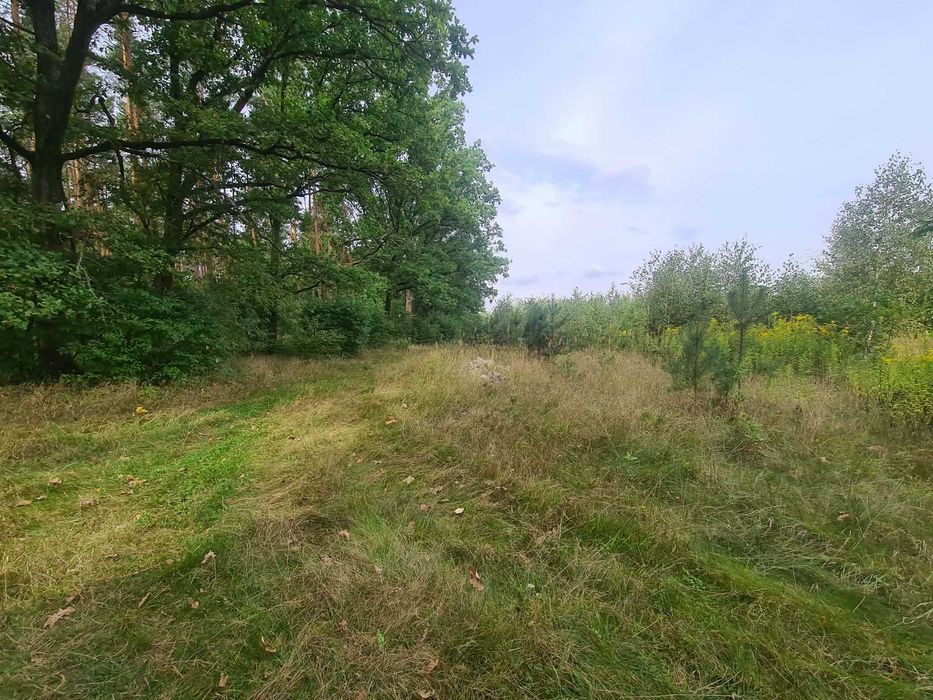 Działka przy lesie, Nowa Kopernia, 924m2, WZ, przyłącze prądu