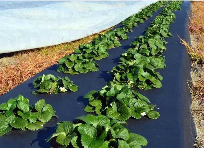 РАСПРОДАЖА! ПЛІВКА(ПЛЕНКА) чорна 300мкр, теплиц 6лет,строительная