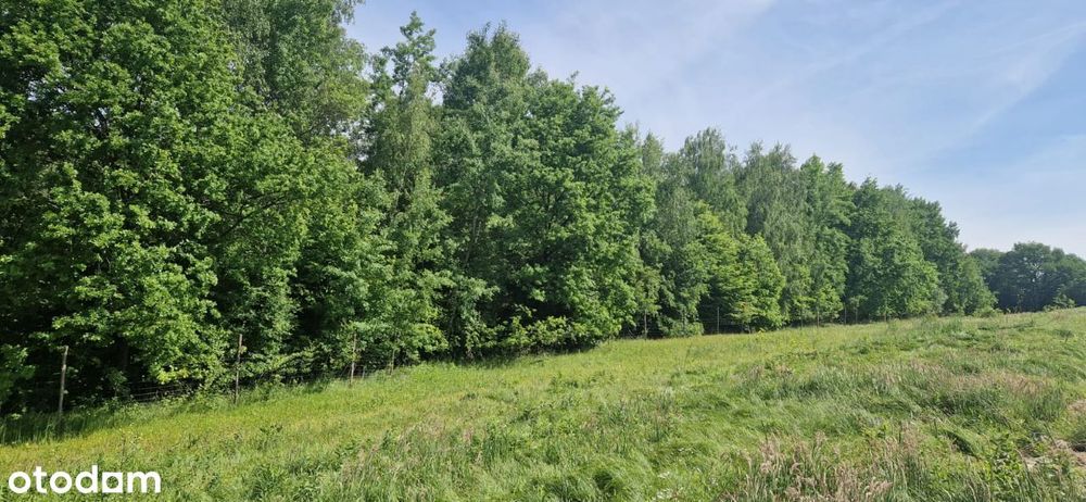 Magnoliowa Polana 3 Wieliczka Kolejny Etap