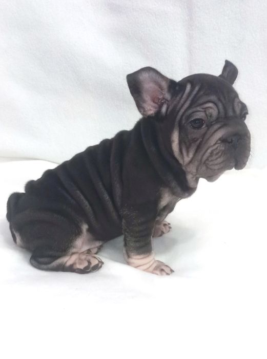 Дівчинка біг роп вільвєт