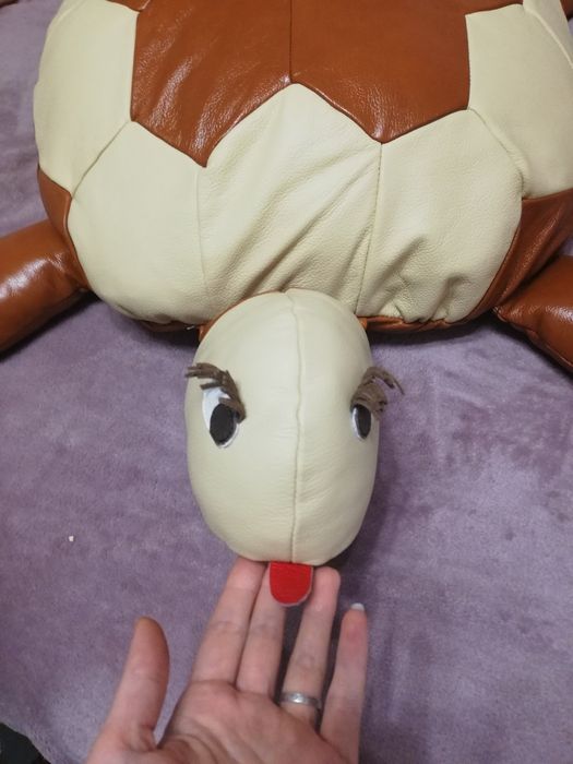 Шкіряна черепаха.