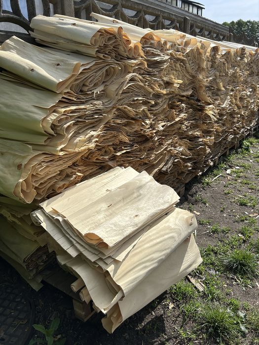 Odpady z obróbki drewna