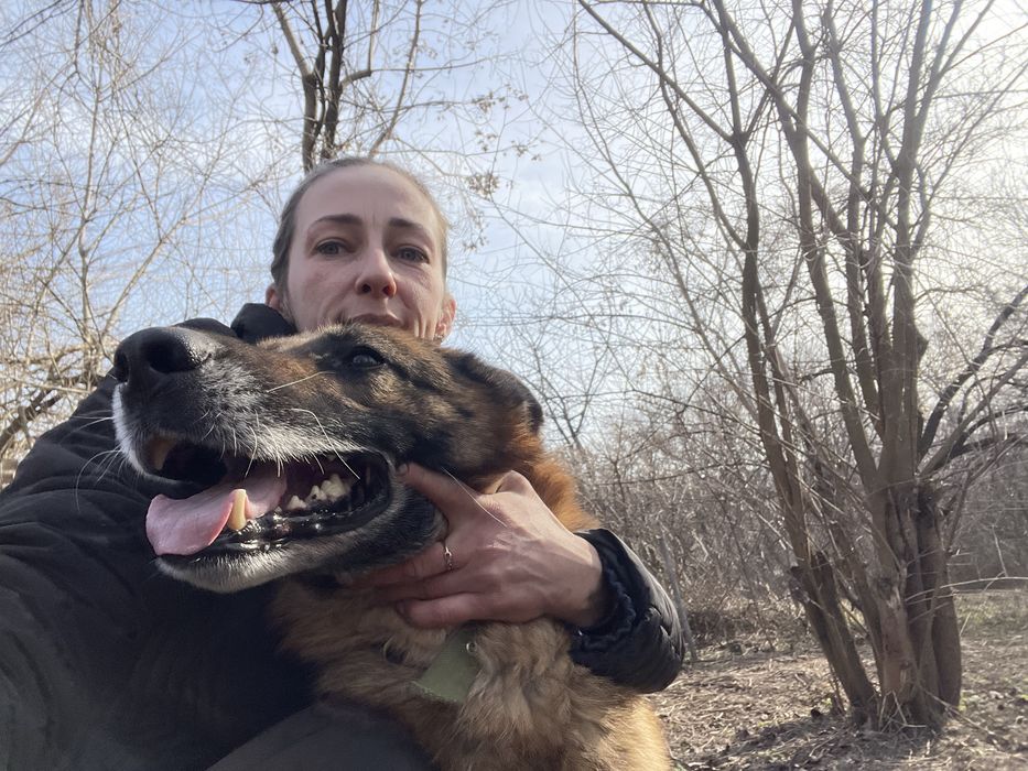 Німецький вівчар