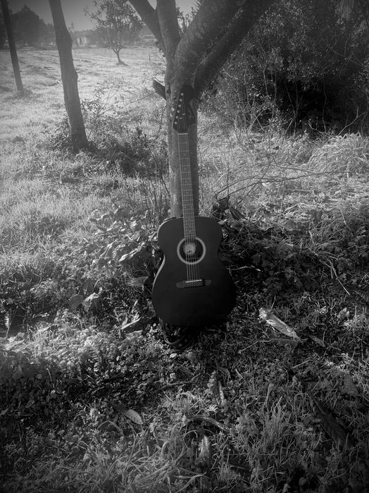 Guitarra acústica