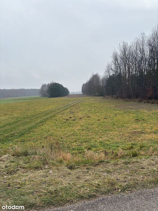 Działka rolno - inwestycyjna  23100 m2  z możliwością zabudowy