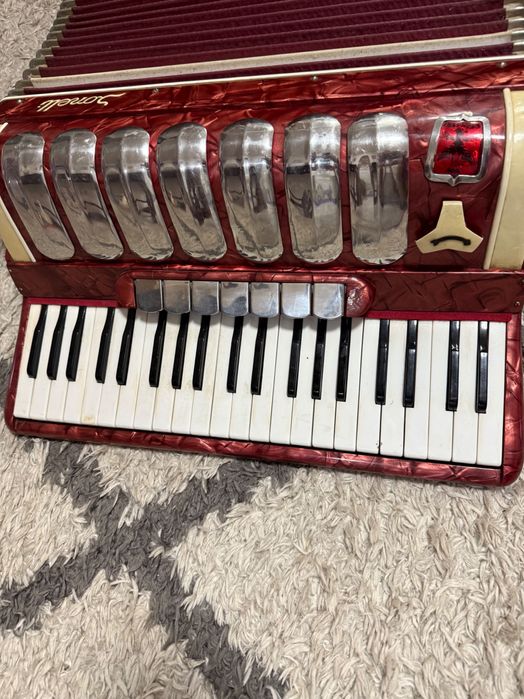 Acordeon Sonelli