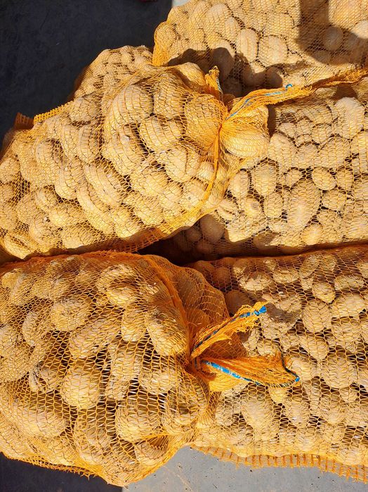 Ziemniaki drobne odpadowe paszowe