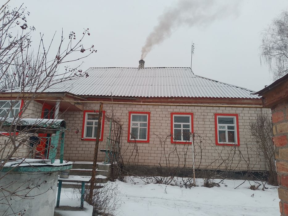 Будинок в селі Балаклея Черкаська область