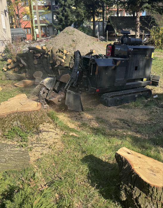 Frezowanie pni, usuwanie pni, frezowanie korzeni, karczowanie