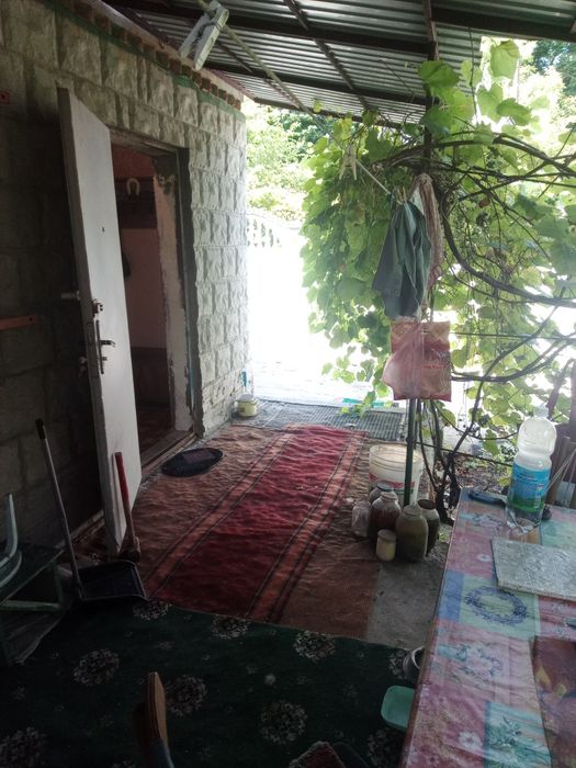 Продам дачу біля лісу