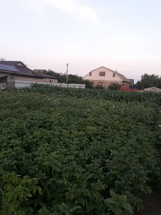 Продаж земельної  ділянки  під забудову в с. Слобода, пров. Садовий
