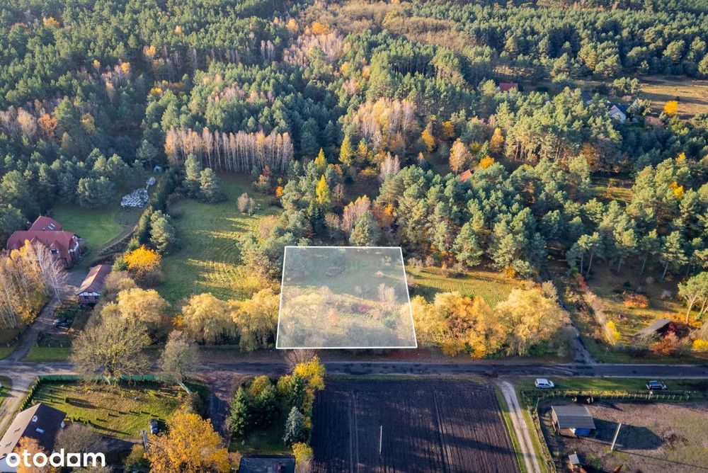 Działka budowlana tuż przy lesie WZ - Widok 3