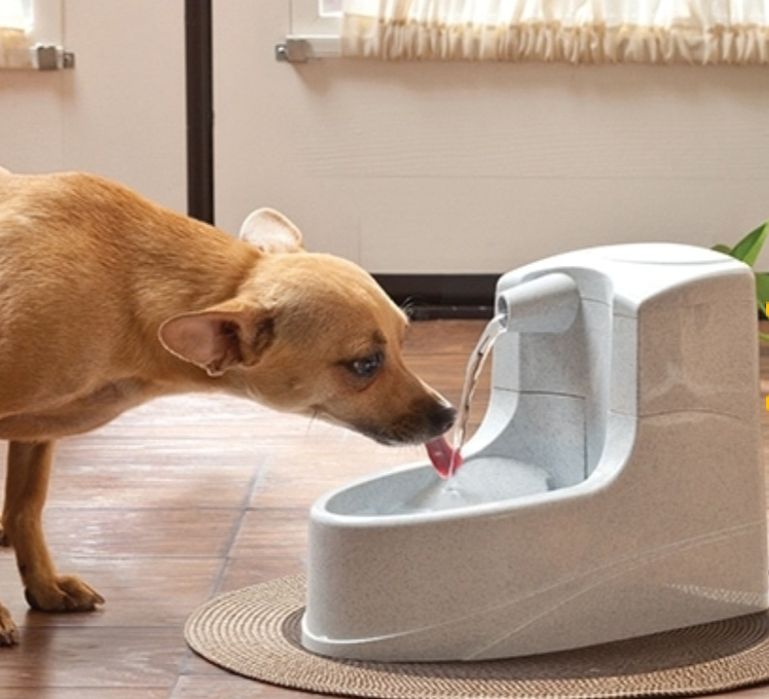 PetSafe Drinkwell Mini автоматический фонтан поилка для котов и собак.