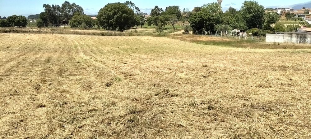 Serviços agrícolas