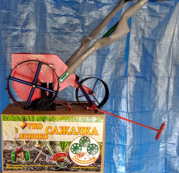 Цибулесіянка(лукосажалка), часникосажалка