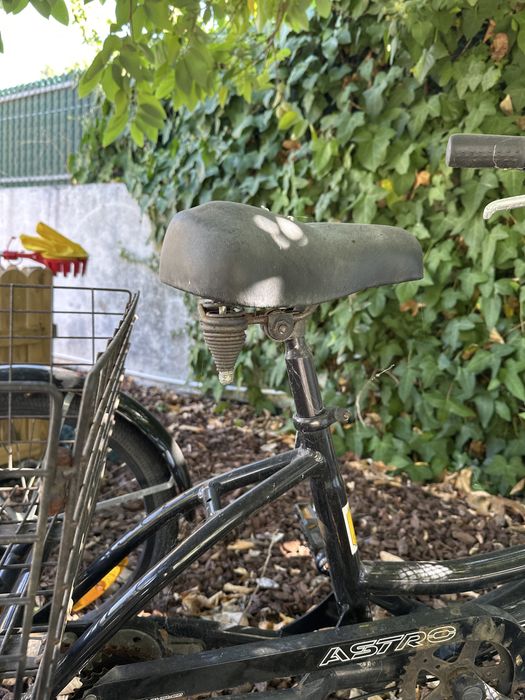 Bicicleta 3 rodas adulto com 2 cestos
