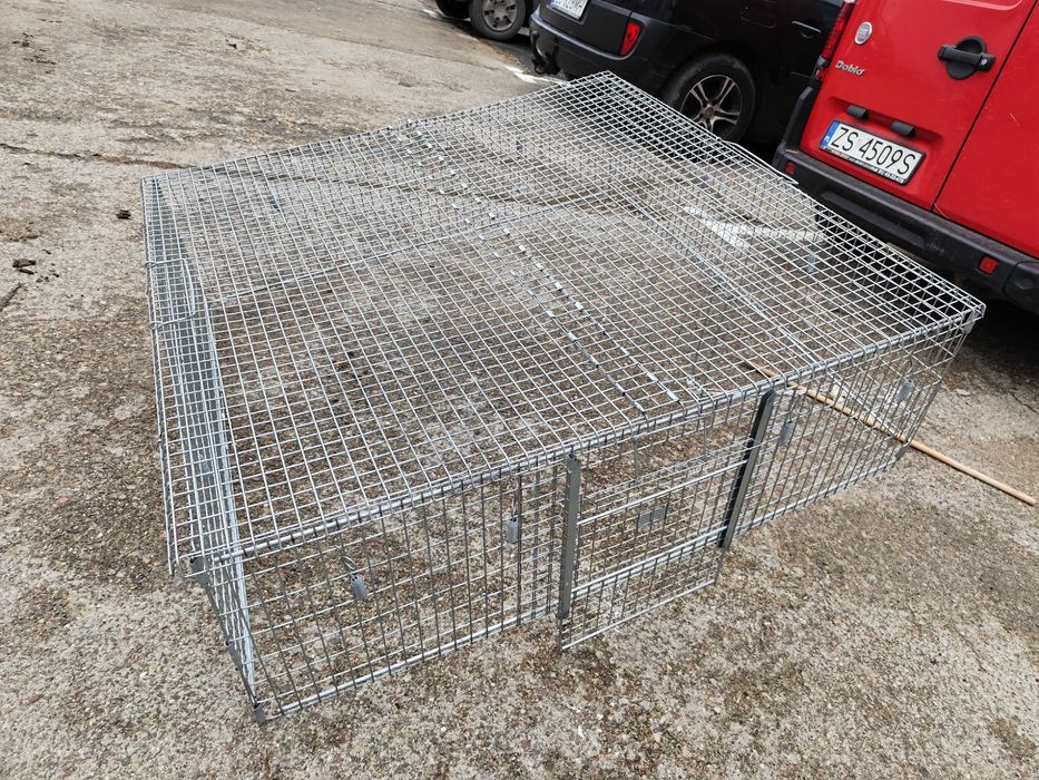 klatka pułapka dla kota