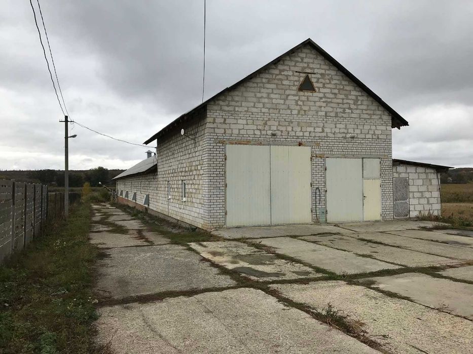 Продам птахофабрику в с. Новий Мерчик
