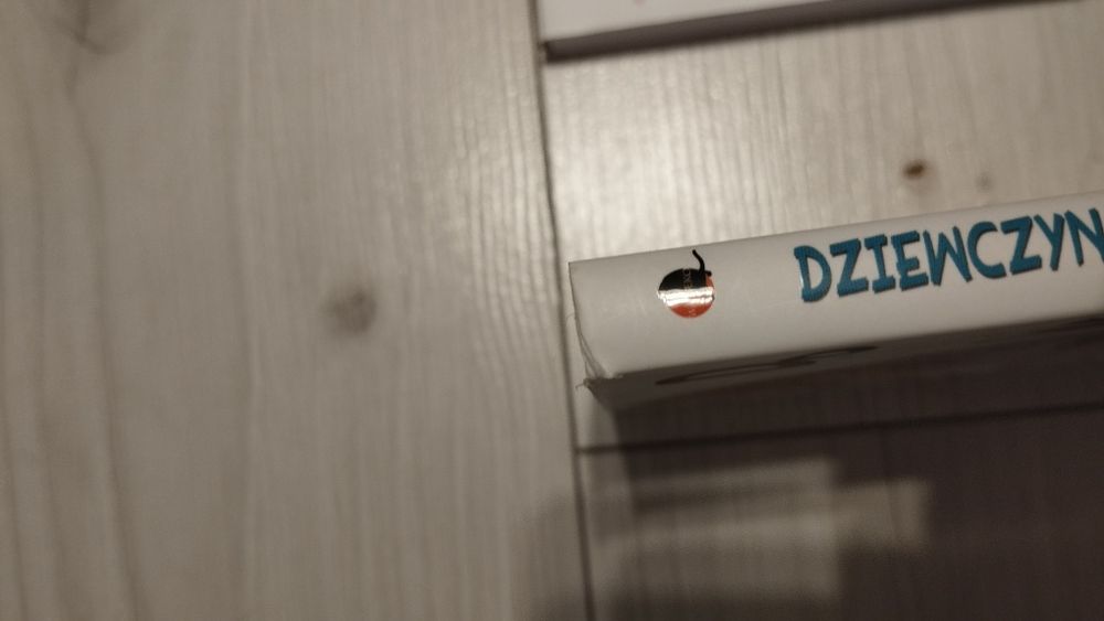 Manga Dziewczyna do wynajęcia