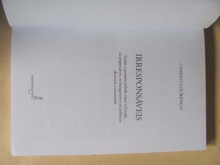 Irresponsáveis de Camilo Lourenço