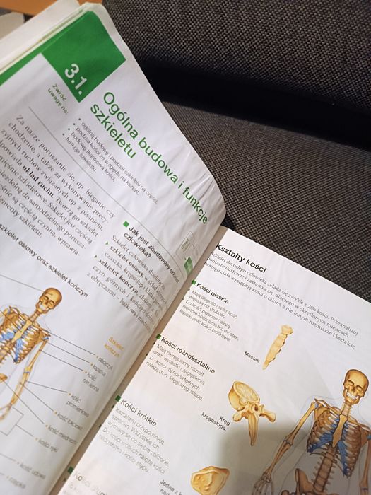 Podręcznik biologia na czasie 2 liceum i technikum