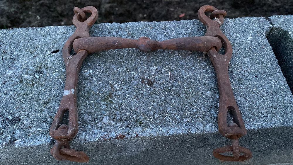 Freios de cavalos equitação