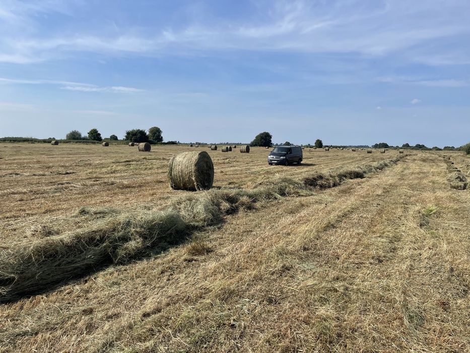 Сіно лугове різнотравʼя в тюках | Від виробника