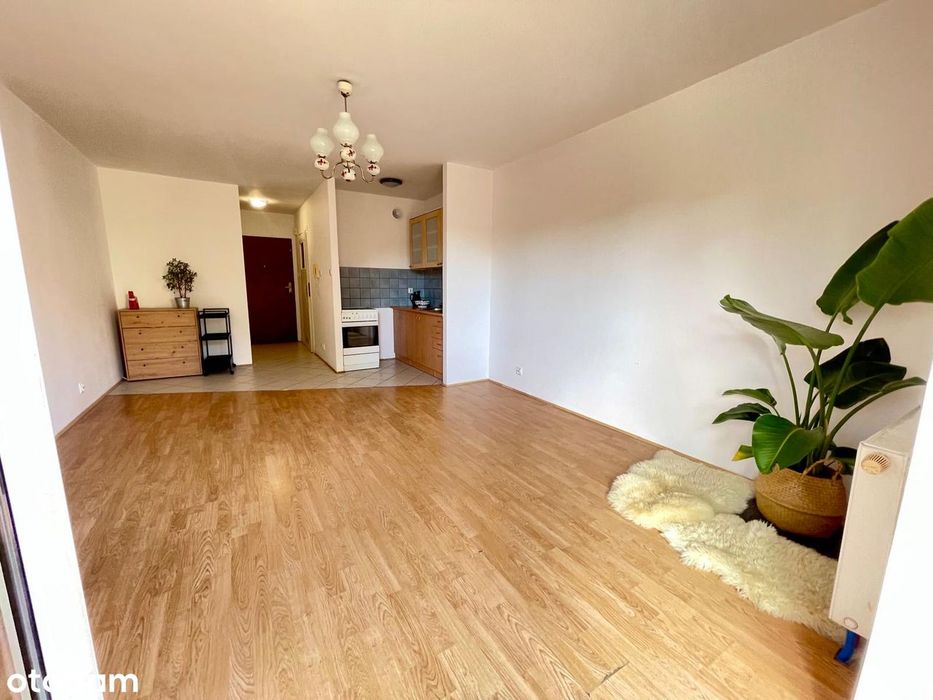 duzy balkon  / centrum / bez prowizji