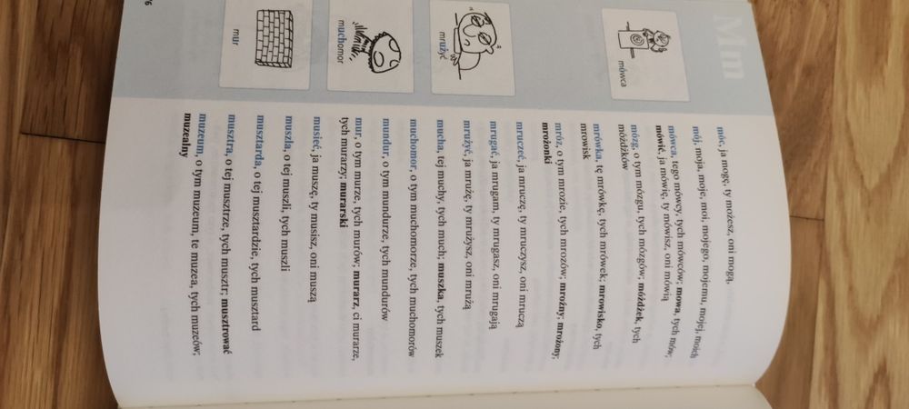 Szkolny słownik ortograficzny