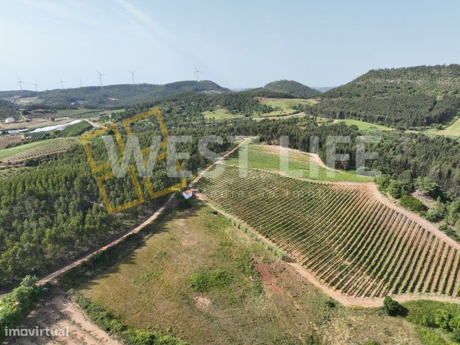 Agricultural Land of 8875 m² — Excellent Solar Exposure — Sobral da ...