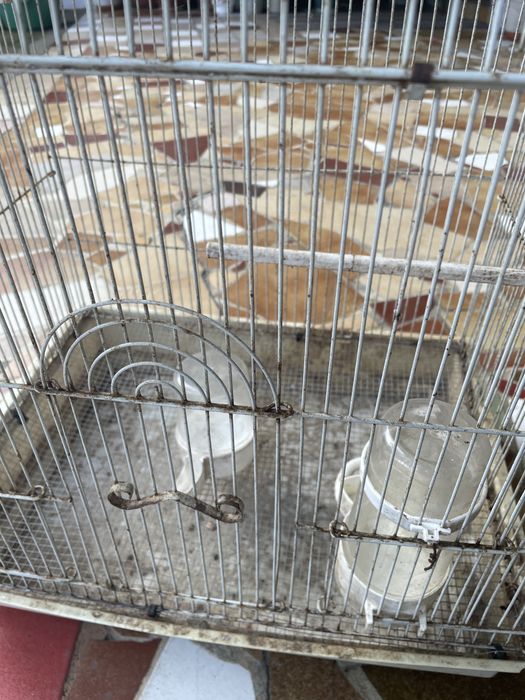 Gaiolas de pássaros