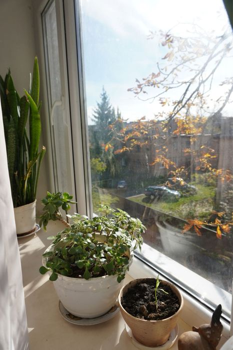 Продам 2 кімнатну квартиру в центрі , зупинака 5 школа