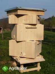 Pszczoły i Ule  Sprzedam