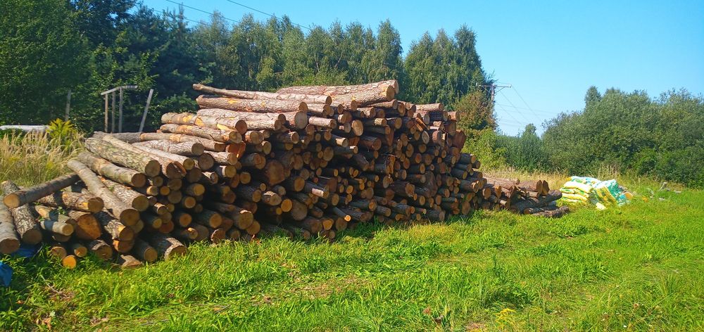 Drewno kominkowe opałowe, dąb olszyna klon Brzoza sosna SEZONOWANE !