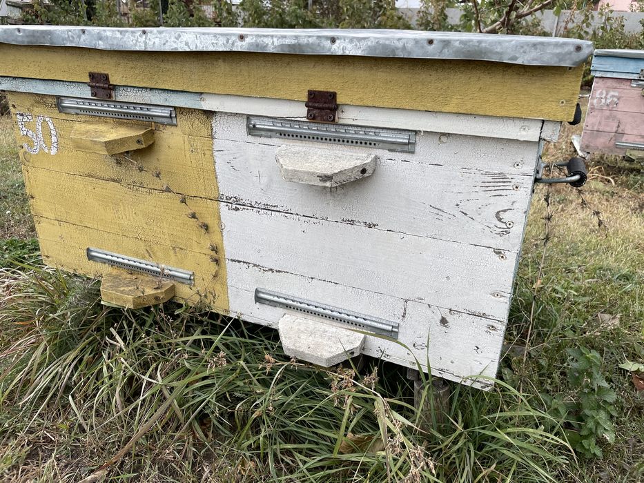 Продам улья700 гр в доброму стані