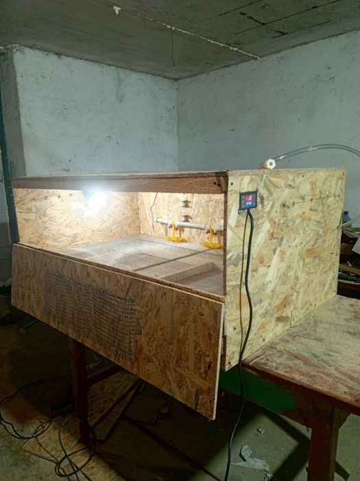 Брудер для курчат