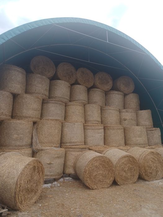 Darmowy transport !Siano, sianokiszonka ,dowolna ilość!