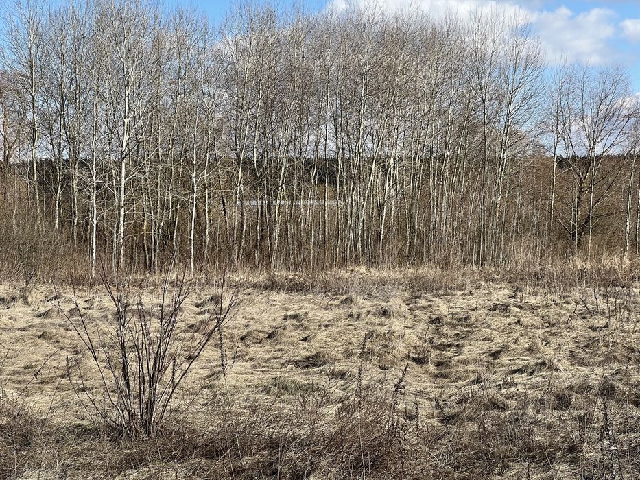 Пр уч зем 13сЗазииье село новый масив!
