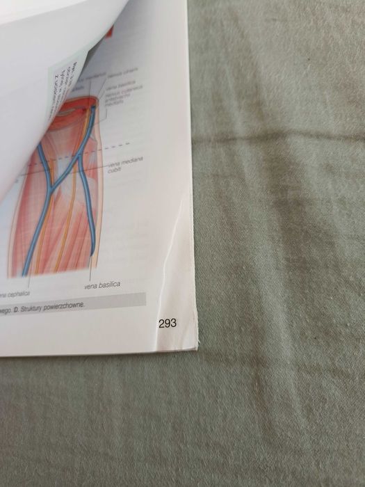 Anatomia Graya tomy 1-3