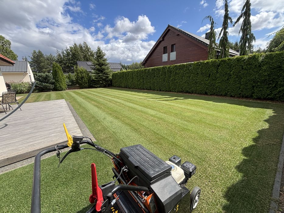 Dosiewacz wgłebny, siewnik z walcem, 100% skuteczności