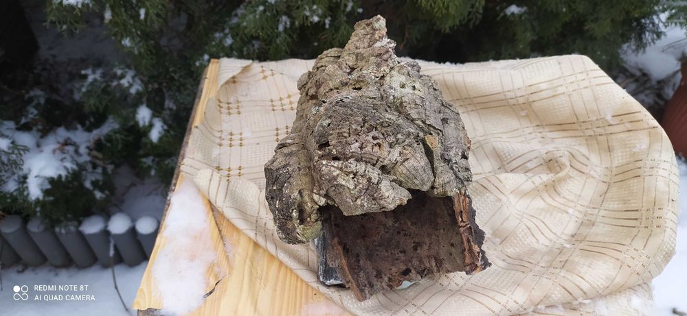 Grota z debu korkowego do terrarium