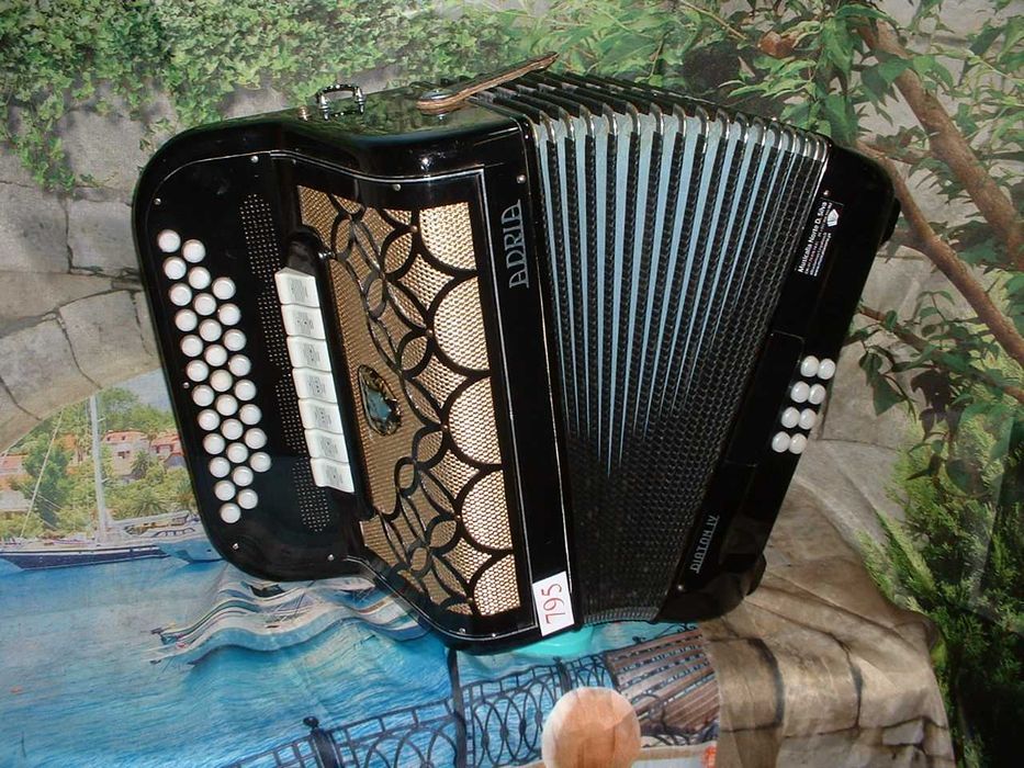 Concertinas a venda N.795 Penedono • OLX Portugal