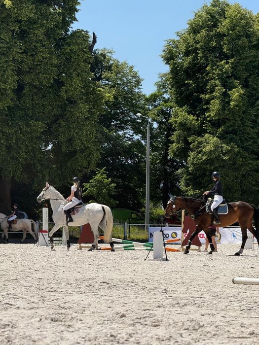 Klacz dla kazdego super pochodzenie