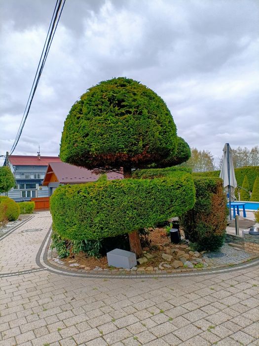 Kompleksowe Usługi Ogronicze