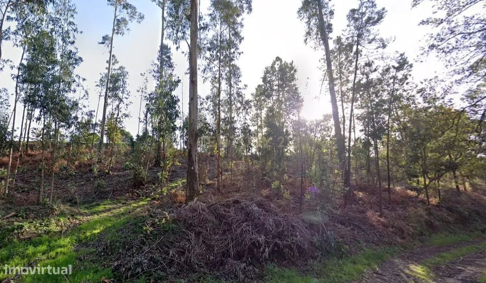 Terreno florestal com área total de 5.400m2 em Alheira - Barcelos