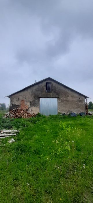 Продам ферму,корівник