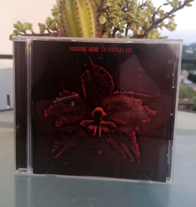 Vários cds de Nu-metal