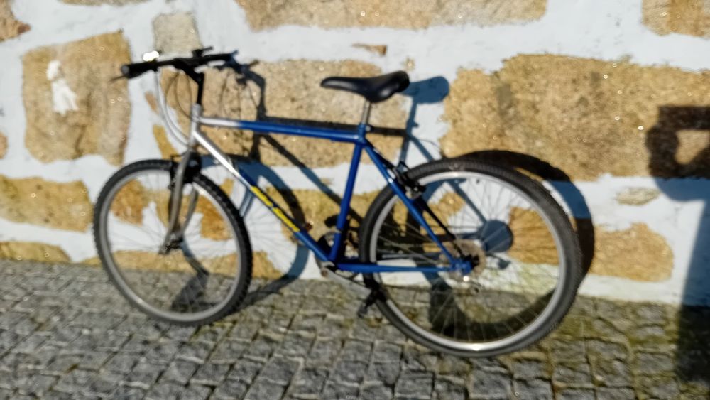 Bicicleta "Bike Sport"