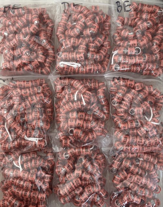 Obrączki zagraniczne DV BE NL dla gołębi pocztowtch 8mm na 2027r